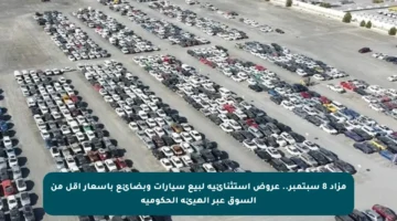 مزاد 8 سبتمبر.. عروض استثنائية لبيع سيارات وبضائع بأسعار أقل من السوق عبر الهيئة الحكومية